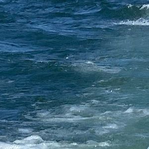 Meet your Posher, Hailey